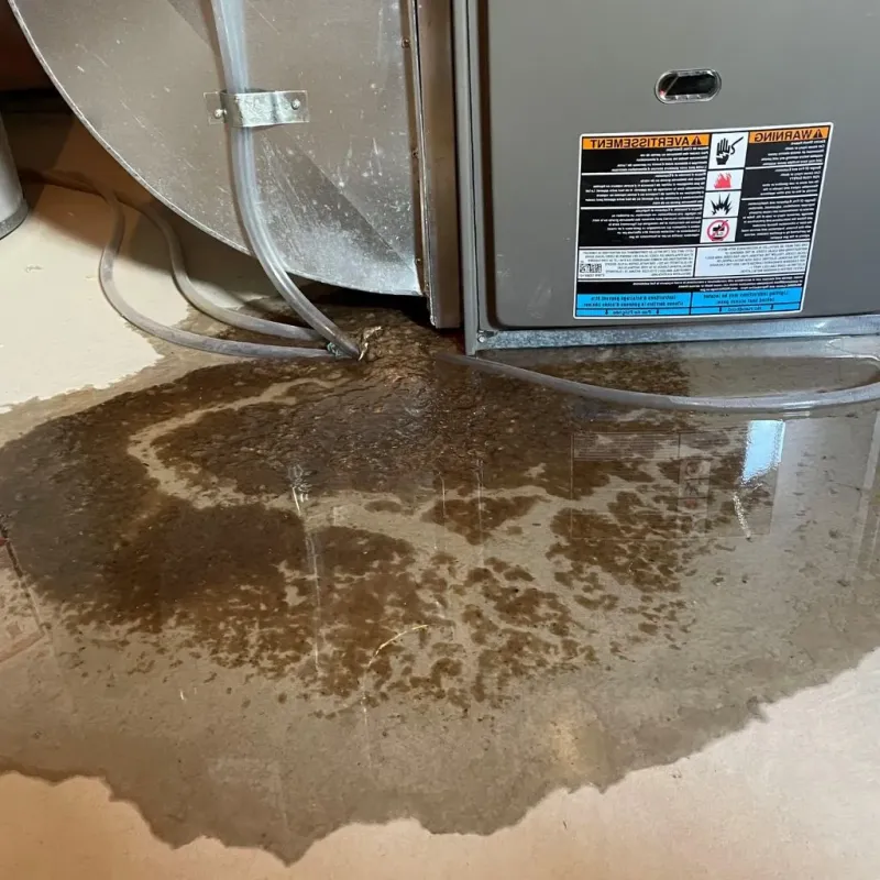 Pipe Burst and Leak Restoration in Pawhuska, OK
